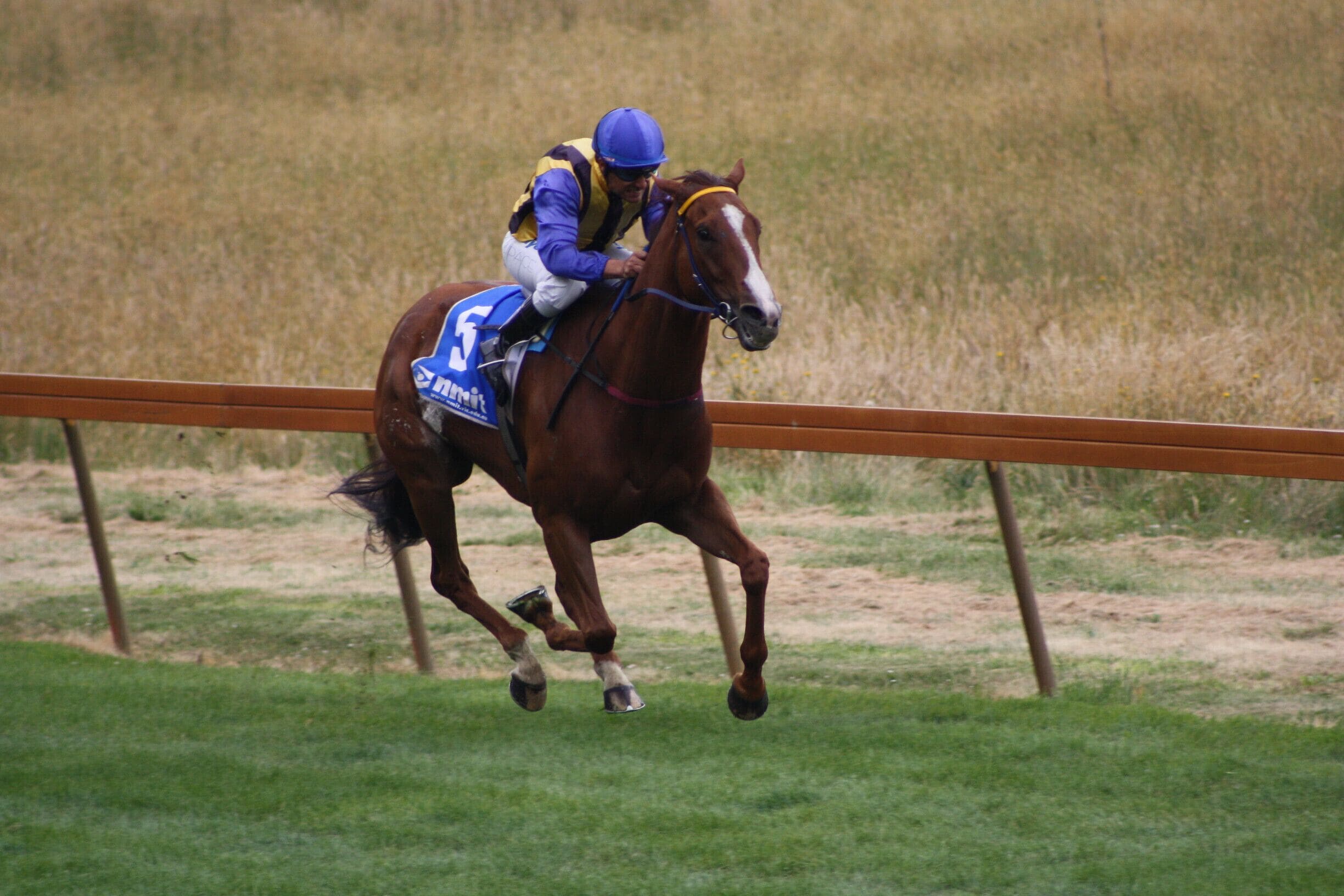 Hanging Rock Country Races - New Year's Day 2011.  The following year kangaroos on the race course stopped the event.  A cheap and exciting family day out which should be combined with a picnic lunch.  Come early to secure a place by the racecourse.
