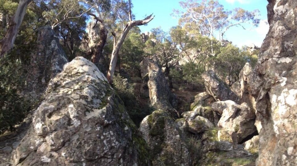 Interesting
In 2014 the Rolling Stones were scheduled to play a night concert (30 March) at Hanging Rock as part of their "14 On Fire" tour. The death of Mick Jagger's partner, L'Wren Scott, resulted in the postponement of the entire tour. The tour was rescheduled and resumed in Adelaide on October 25, 2014. The Hanging Rock concert was rescheduled to take place on Saturday, November 8, 2014, but Rolling Stones lead Mick Jagger cancelled the concert due to a throat infection.