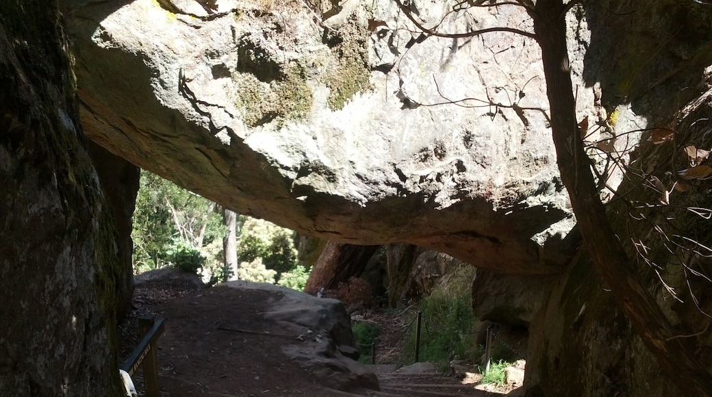This rock probably fell down thousands of years ago and now provides cool shade from the fierce summer sun.
