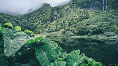 A lush valley with waterfalls and a calm lake surrounded by dense greenery.