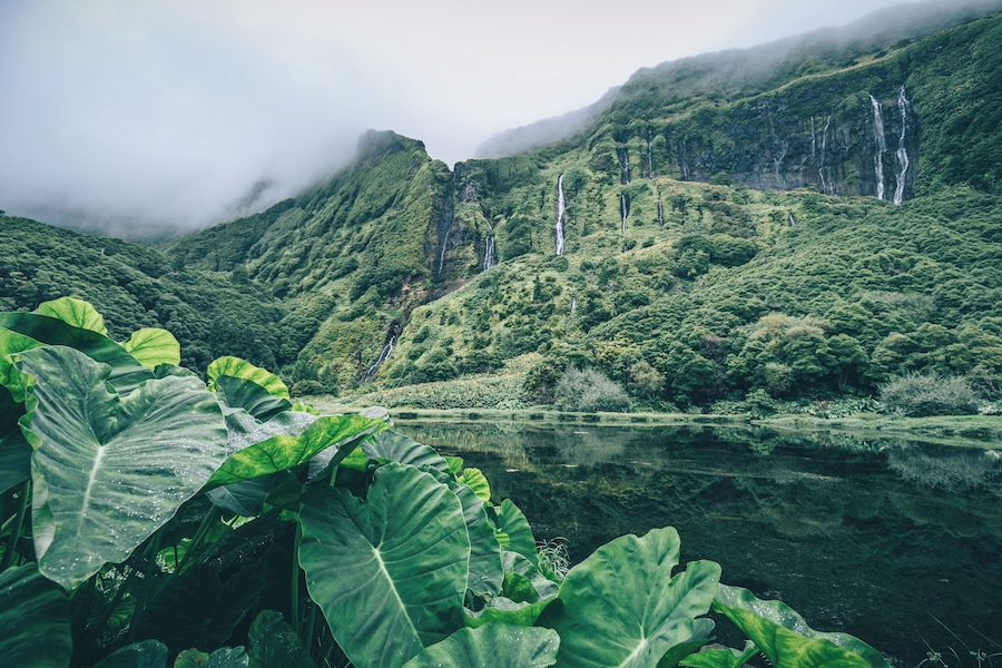 Amazing natural sight on Flores island. Waterfalls all around.
#trover #portugal #azores #hiking #nature #waterfalls
Make sure you follow me on:
https://www.facebook.com/ShotByCanipel/
https://www.instagram.com/canipel/