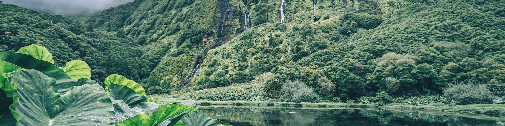 Amazing natural sight on Flores island. Waterfalls all around.
#trover #portugal #azores #hiking #nature #waterfalls
Make sure you follow me on:
https://www.facebook.com/ShotByCanipel/
https://www.instagram.com/canipel/
