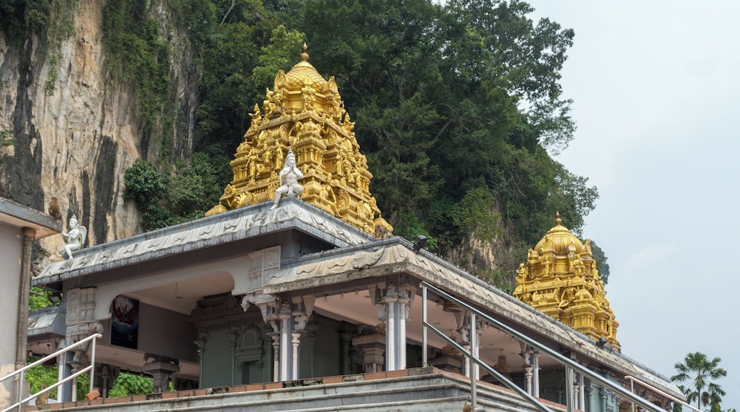 There is more to Batu Caves than the main cave, there are a couple of other caves and temples such as this one which comes with free a monkey guide. #detail #Macaques #Batu Cave #Temple #Malaysia #Kuala Lumpur