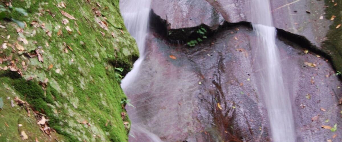 Accessible from the Poring Hot Springs, this waterfall is a great place to cool off. Surrounded by lush tropical rainforest you could not ask for much more serenity than you find here!