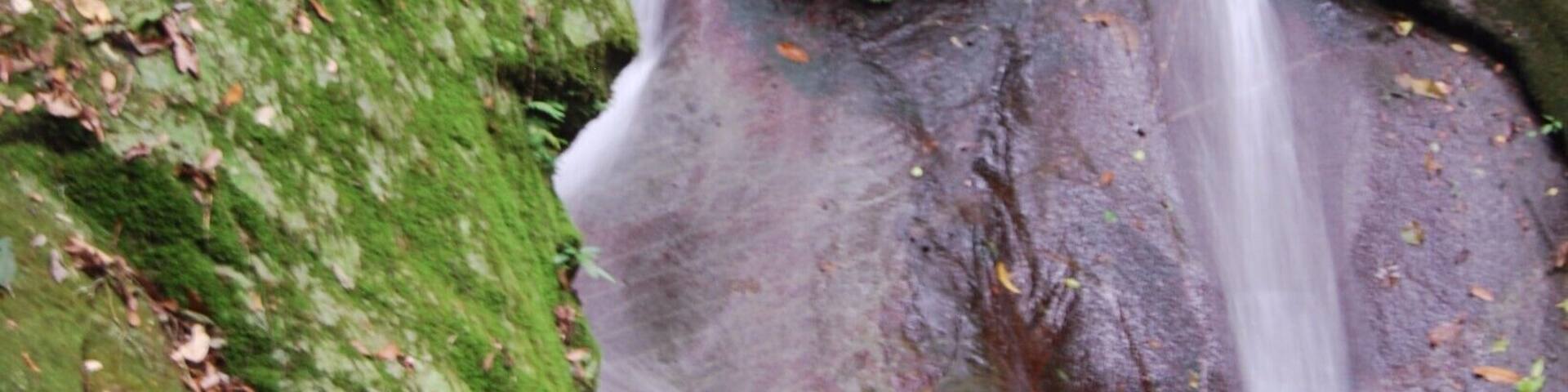 Accessible from the Poring Hot Springs, this waterfall is a great place to cool off. Surrounded by lush tropical rainforest you could not ask for much more serenity than you find here!