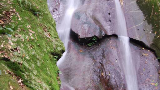 Accessible from the Poring Hot Springs, this waterfall is a great place to cool off. Surrounded by lush tropical rainforest you could not ask for much more serenity than you find here!