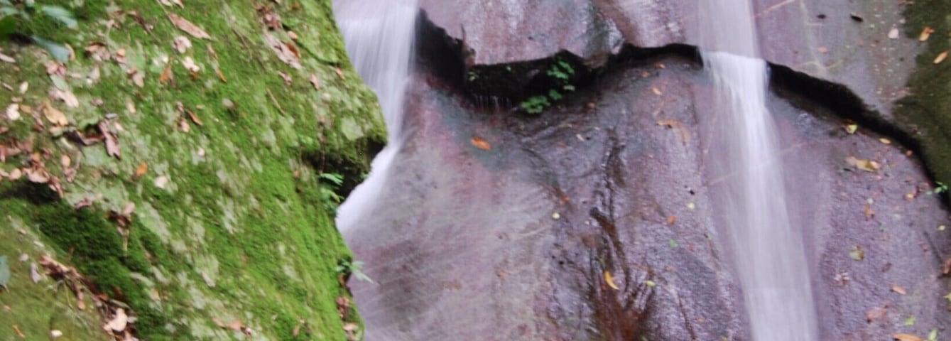 Accessible from the Poring Hot Springs, this waterfall is a great place to cool off. Surrounded by lush tropical rainforest you could not ask for much more serenity than you find here!