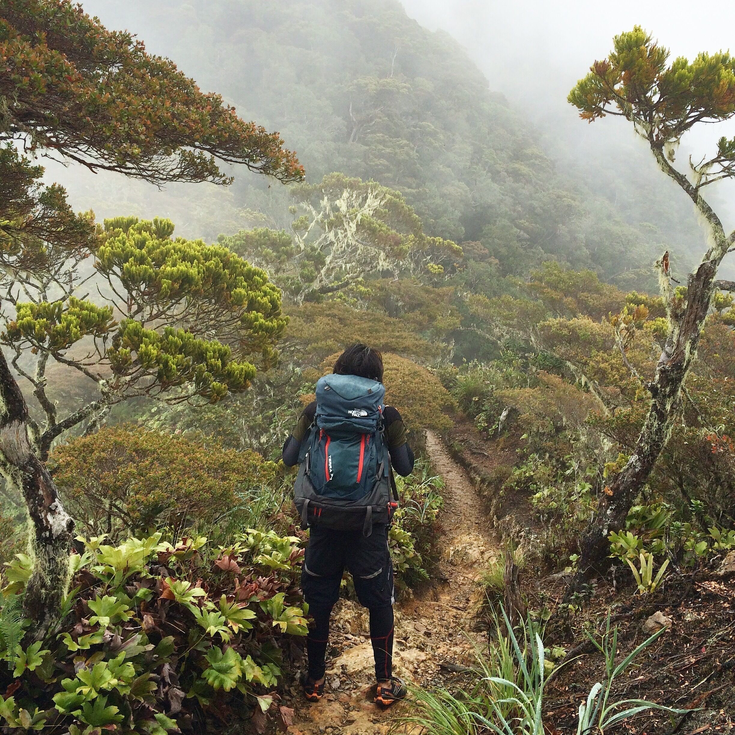 Take the challenge. Travel alone. #Mountaineer #roadtrip #whappreciatetheearth