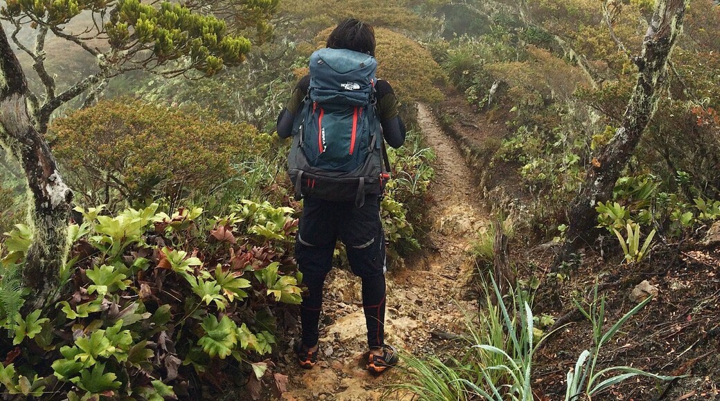 Take the challenge. Travel alone. #Mountaineer #roadtrip #whappreciatetheearth