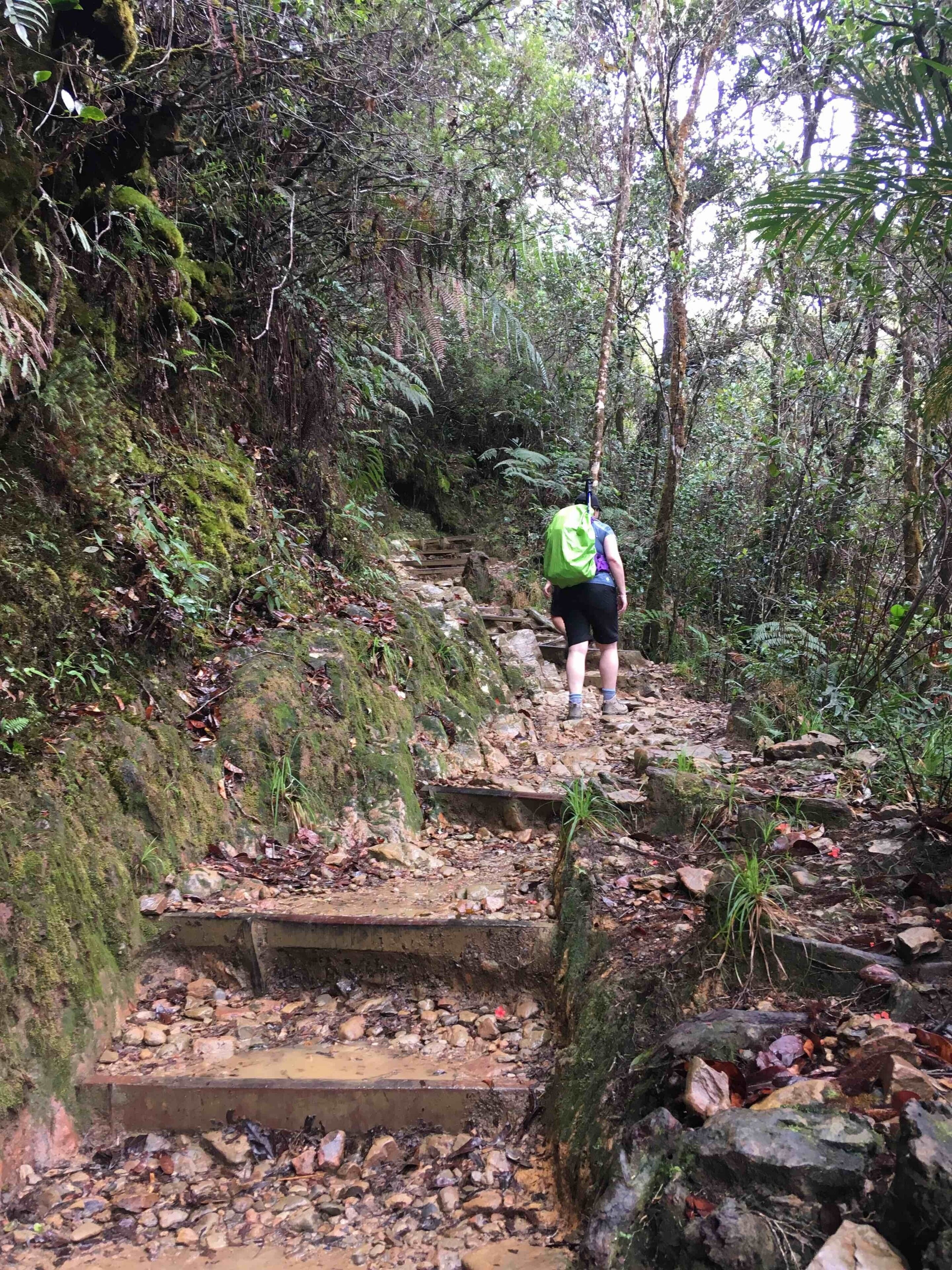 Up and up and up we go... 6km hike up from the base to Pendant Hut which is still 2.7km from the summit