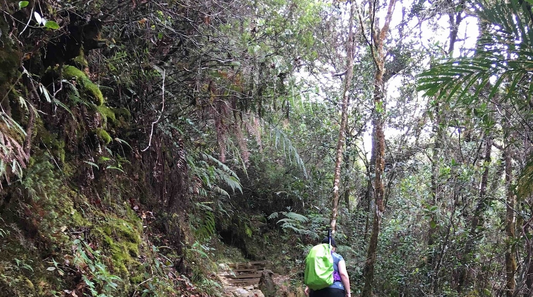 Up and up and up we go... 6km hike up from the base to Pendant Hut which is still 2.7km from the summit