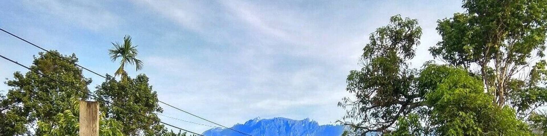 Fighting rooster farm