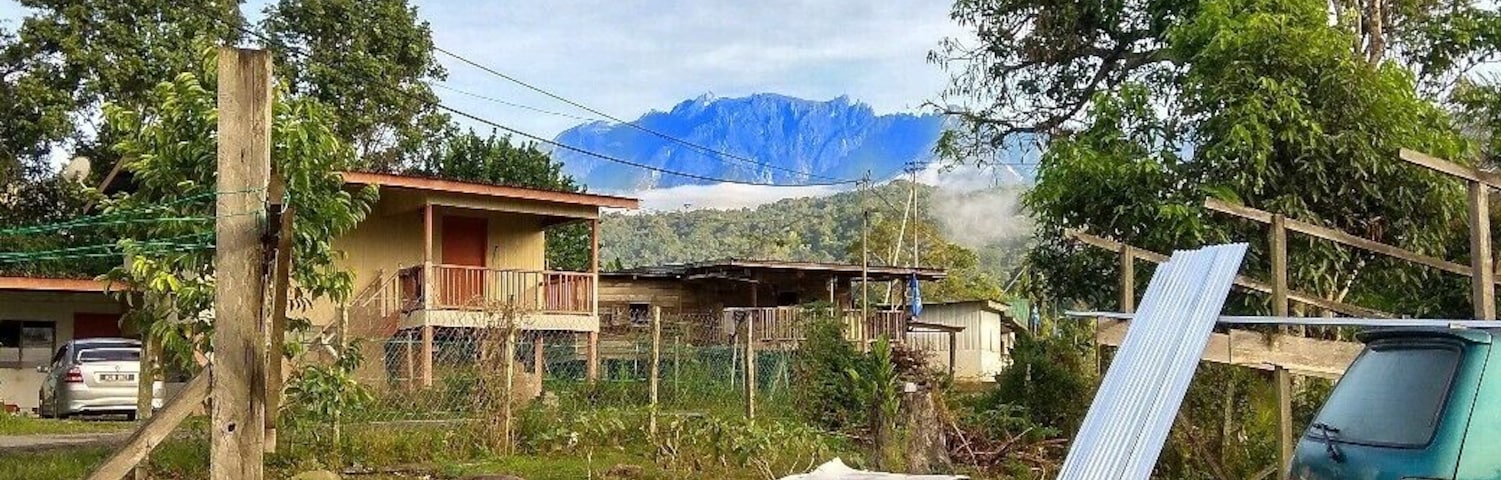 Fighting rooster farm