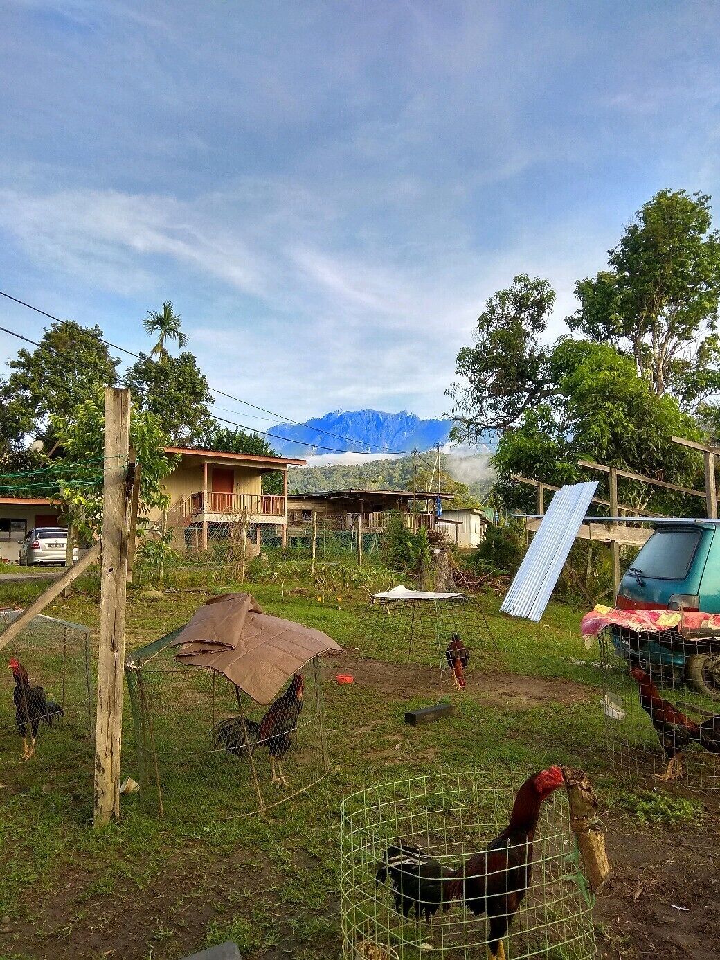 A rural setting with a fenced area containing chickens, a parked car, and a mountain in the background.