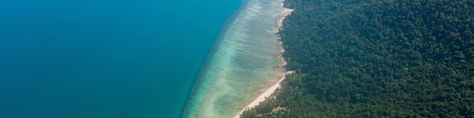 A coastal landscape with a clear turquoise sea, a sandy beach, and dense green forest.