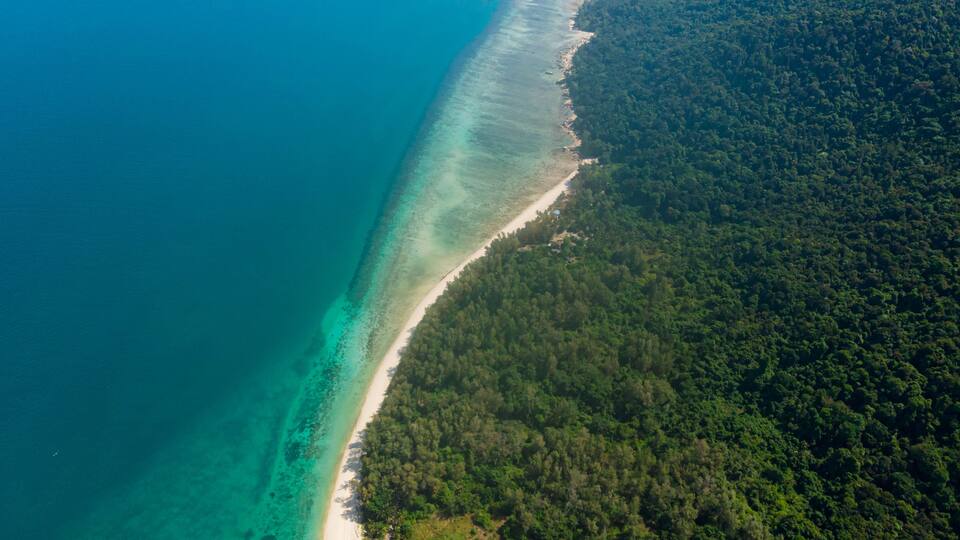 A coastal landscape with a clear turquoise sea, a sandy beach, and dense green forest.