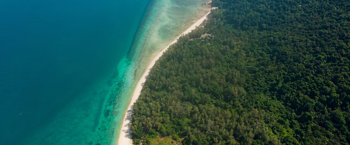 A coastal landscape with a clear turquoise sea, a sandy beach, and dense green forest.