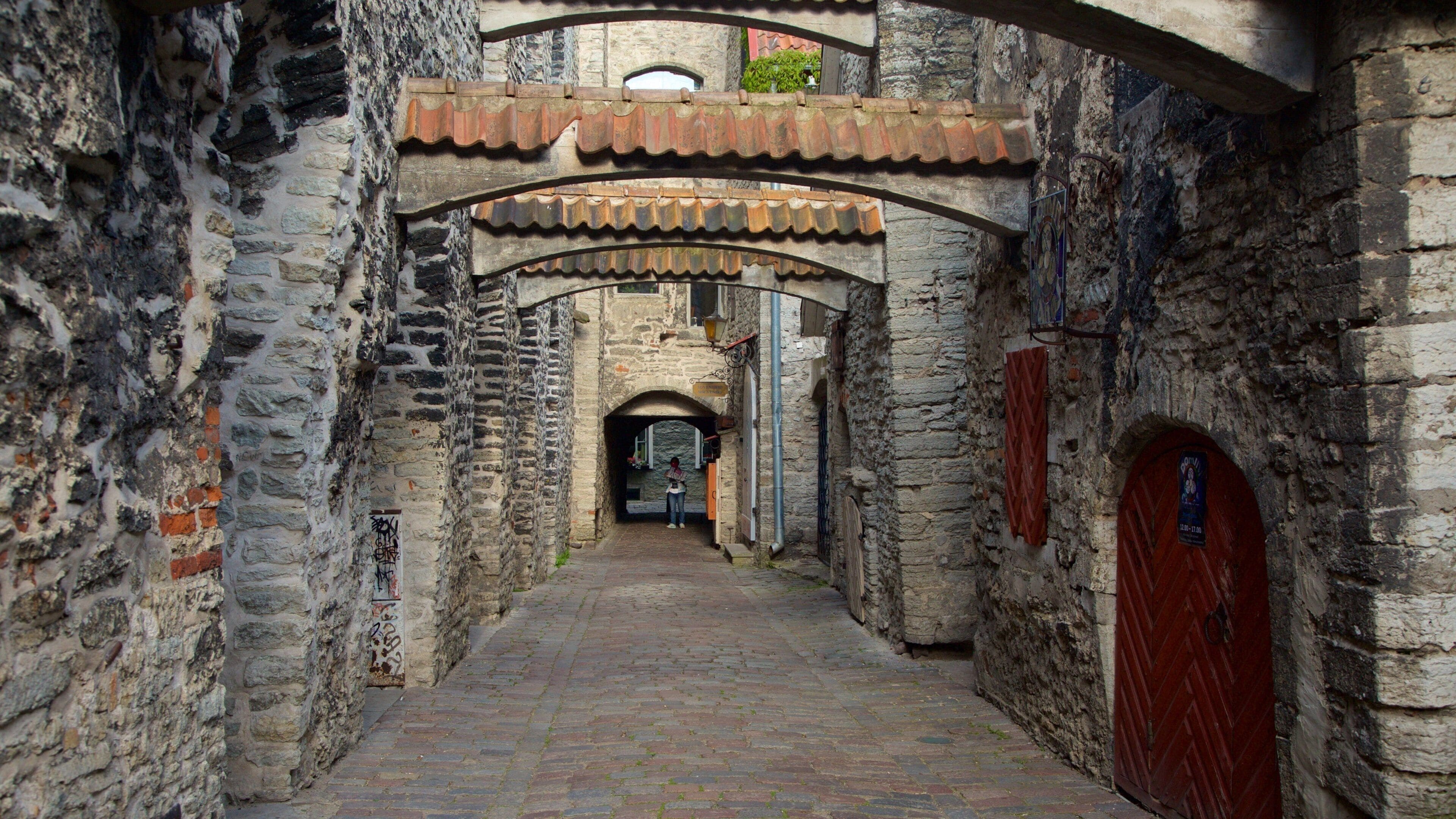 카트리느 골목 을 특징 도시