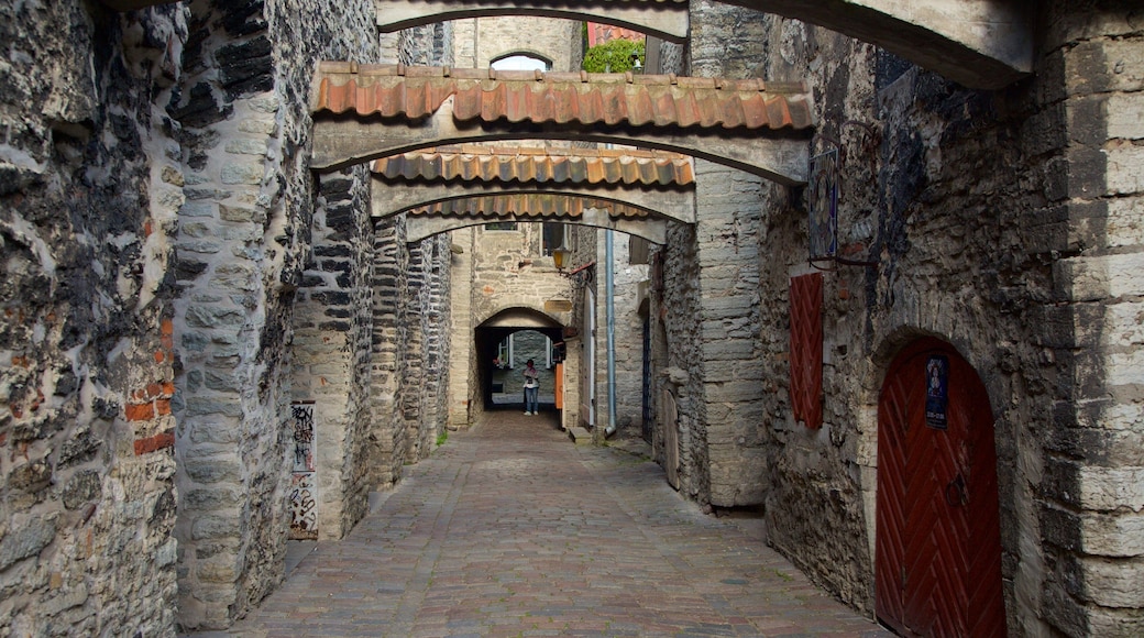 St. Catherine\'s Passage featuring a city