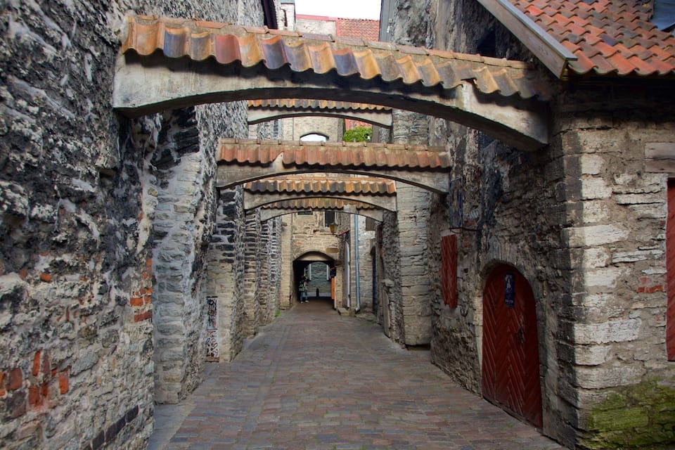 Un estrecho sendero de piedra bordeado por edificios antiguos con tejados de azulejos y puertas de madera.
