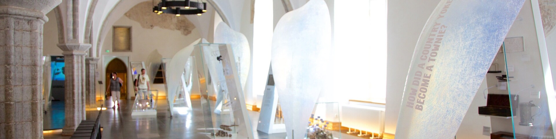 Tallinn welches beinhaltet historische Architektur und Innenansichten