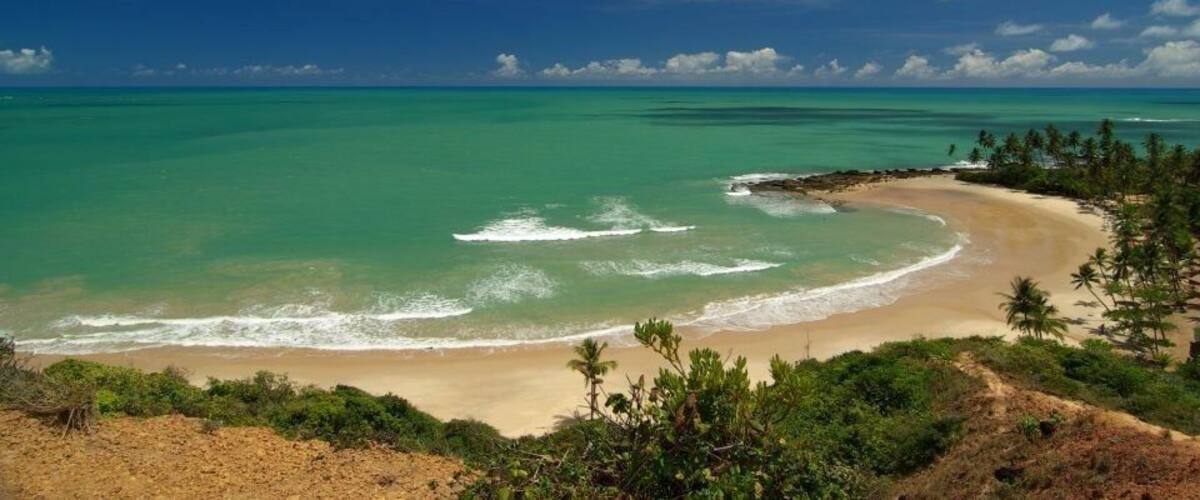 Una playa con aguas turquesas cristalinas, una orilla de arena y palmeras.