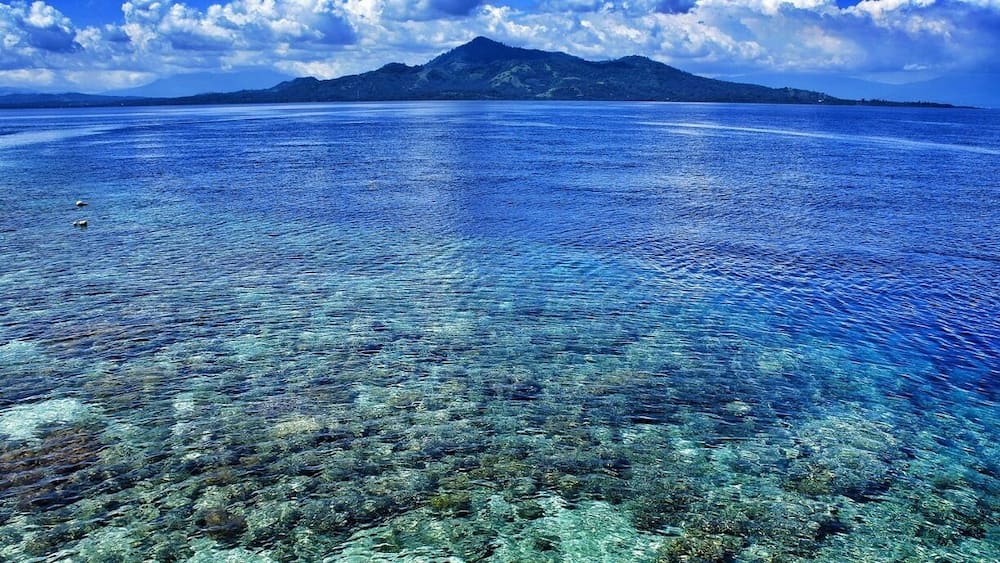 • Bunaken National Marine Park •
It is a well-known marine park located in North Sulawesi that was established in 1991.
Providing habitat to 390 species of coral and diverse sea animals, it truly represents the beauty of Indonesian tropical water ecosystems.
One hour by boat from Manado, this marine heaven is really accessible!
It consists of several small islands namely, Manado Tua, Bunaken, Siladen, Montehage, Talisei and Bangka.
There are nice accommodation options in Bunaken, Siladen or Bangka Island.
Lists to do:
- Diving
- Snorkeling
- Boat trip, and
- Relaxing!