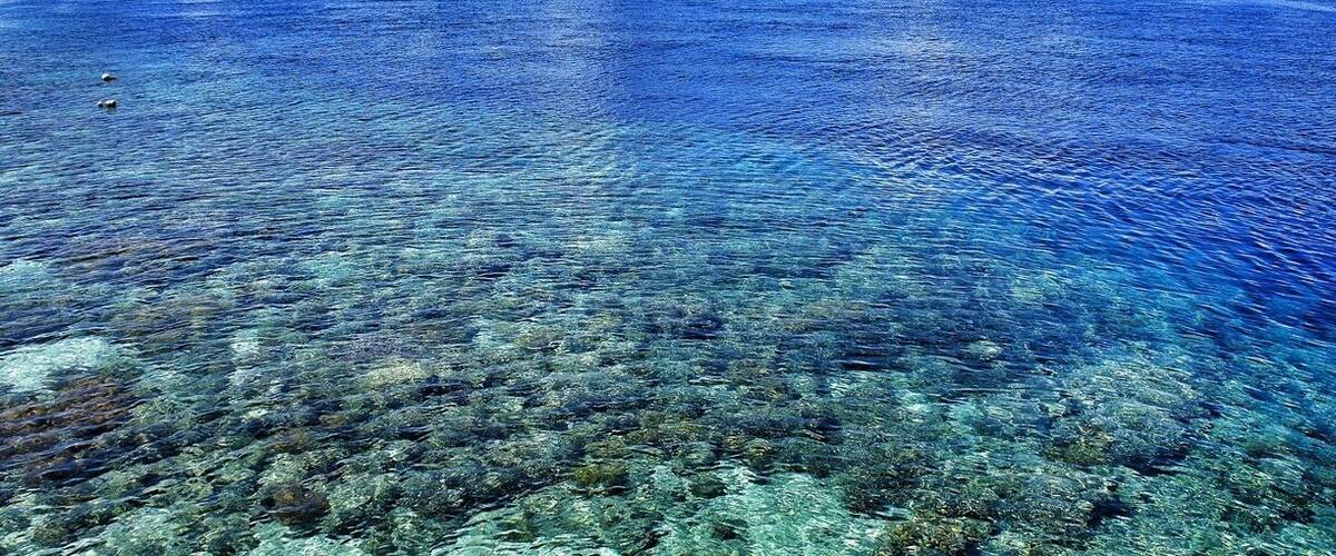• Bunaken National Marine Park •
It is a well-known marine park located in North Sulawesi that was established in 1991.
Providing habitat to 390 species of coral and diverse sea animals, it truly represents the beauty of Indonesian tropical water ecosystems.
One hour by boat from Manado, this marine heaven is really accessible!
It consists of several small islands namely, Manado Tua, Bunaken, Siladen, Montehage, Talisei and Bangka.
There are nice accommodation options in Bunaken, Siladen or Bangka Island.
Lists to do:
- Diving
- Snorkeling
- Boat trip, and
- Relaxing!