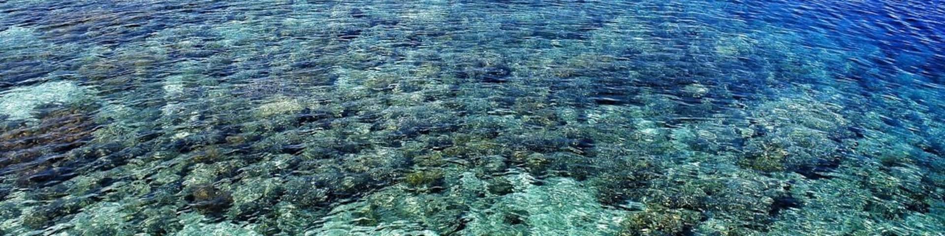 • Bunaken National Marine Park •
It is a well-known marine park located in North Sulawesi that was established in 1991.
Providing habitat to 390 species of coral and diverse sea animals, it truly represents the beauty of Indonesian tropical water ecosystems.
One hour by boat from Manado, this marine heaven is really accessible!
It consists of several small islands namely, Manado Tua, Bunaken, Siladen, Montehage, Talisei and Bangka.
There are nice accommodation options in Bunaken, Siladen or Bangka Island.
Lists to do:
- Diving
- Snorkeling
- Boat trip, and
- Relaxing!