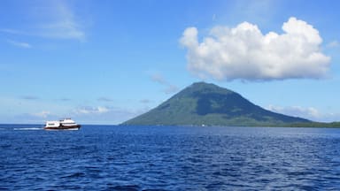 Manado which includes mountains, boating and general coastal views