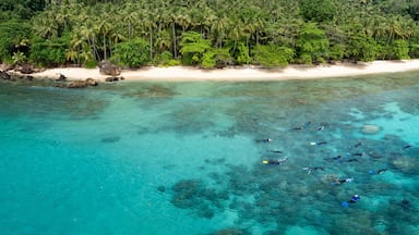 Snorkelers explore a coral reef fringing the tropical island of Bangka, just north of Sulawesi in Indonesia. This area is part of the Coral Triangle and harbors very high marine biodiversity.