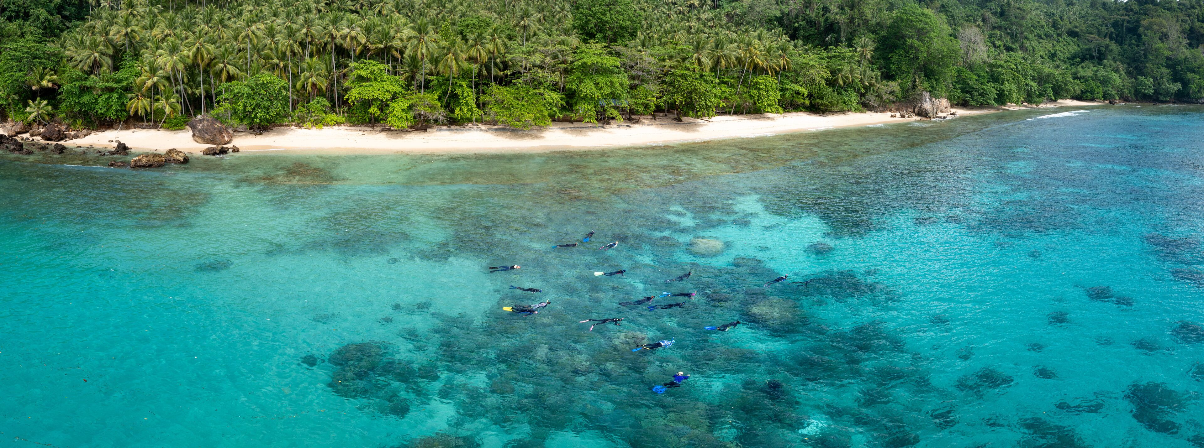 A clear turquoise sea with a sandy beach and dense tropical forest.