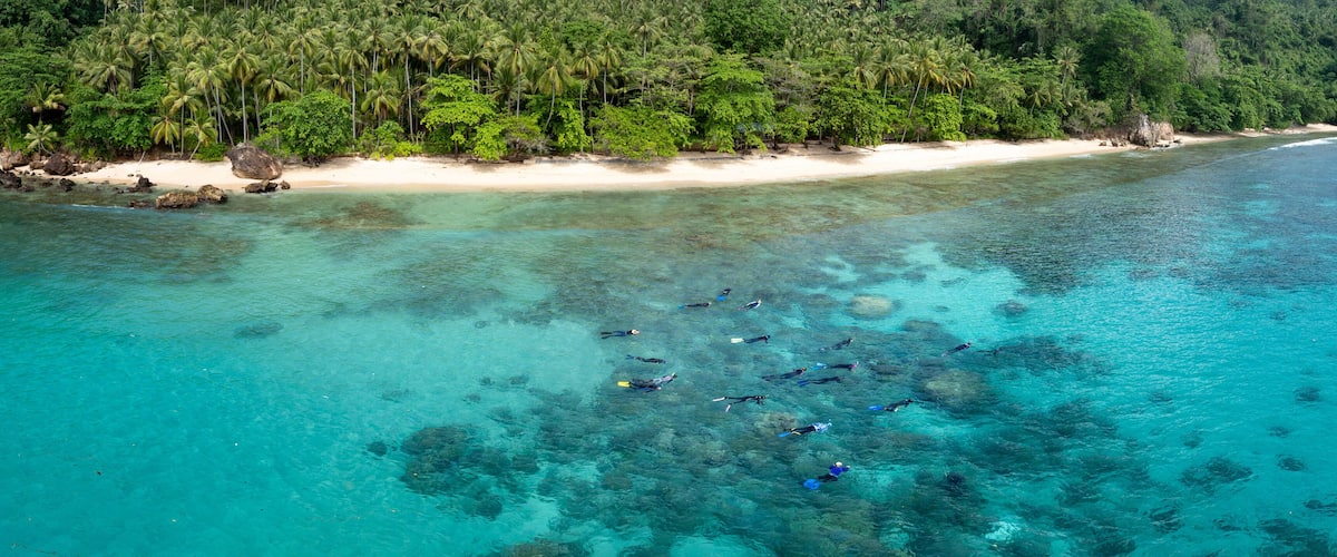 A clear turquoise sea with a sandy beach and dense tropical forest.
