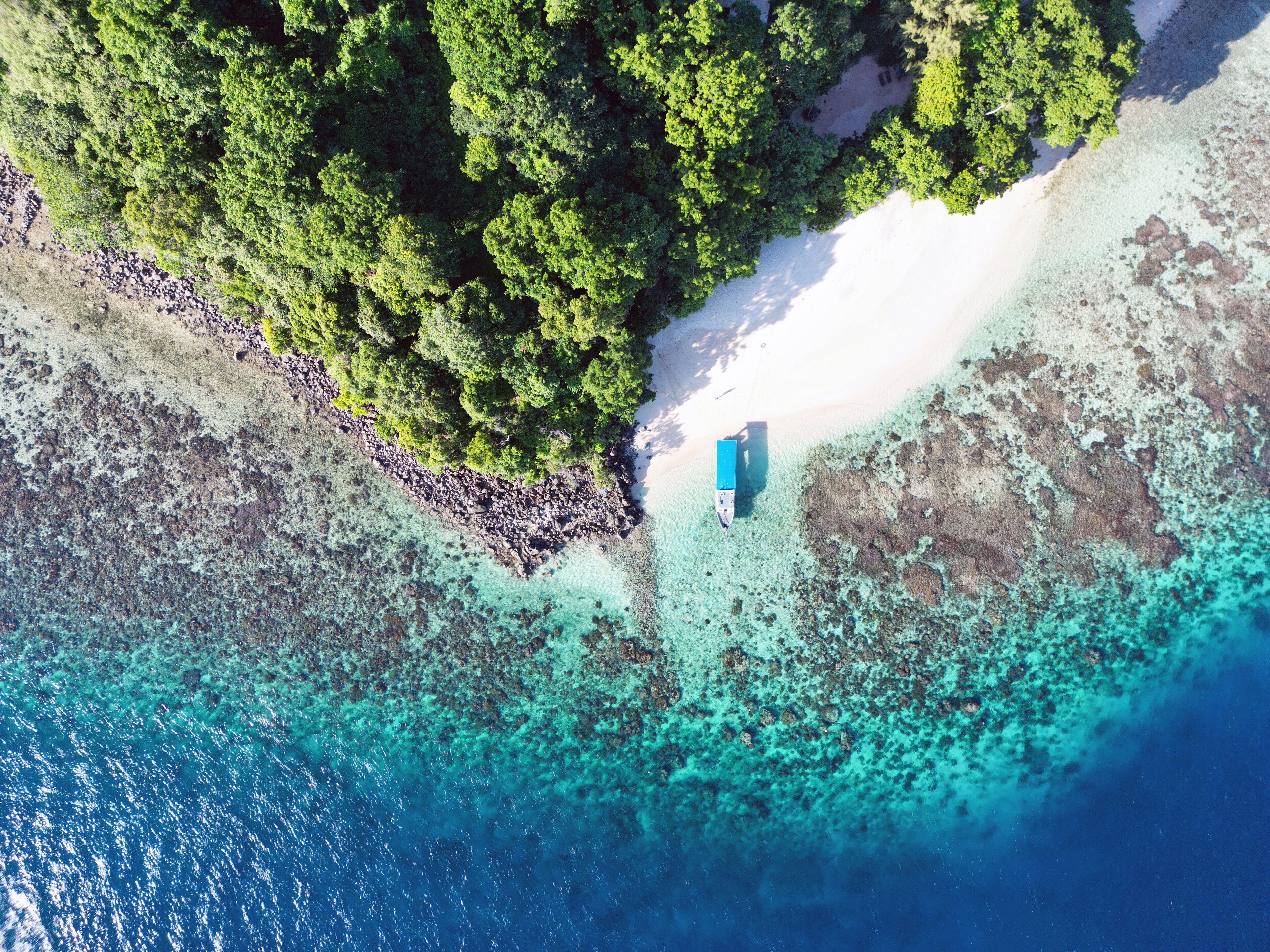 Eine Luftaufnahme eines Strandes mit klarem türkisblauem Wasser, weißem Sandstrand und dichtem Grünland.