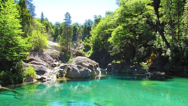 Un río turquesa cristalino rodeado de un bosque verde denso y terreno rocoso.