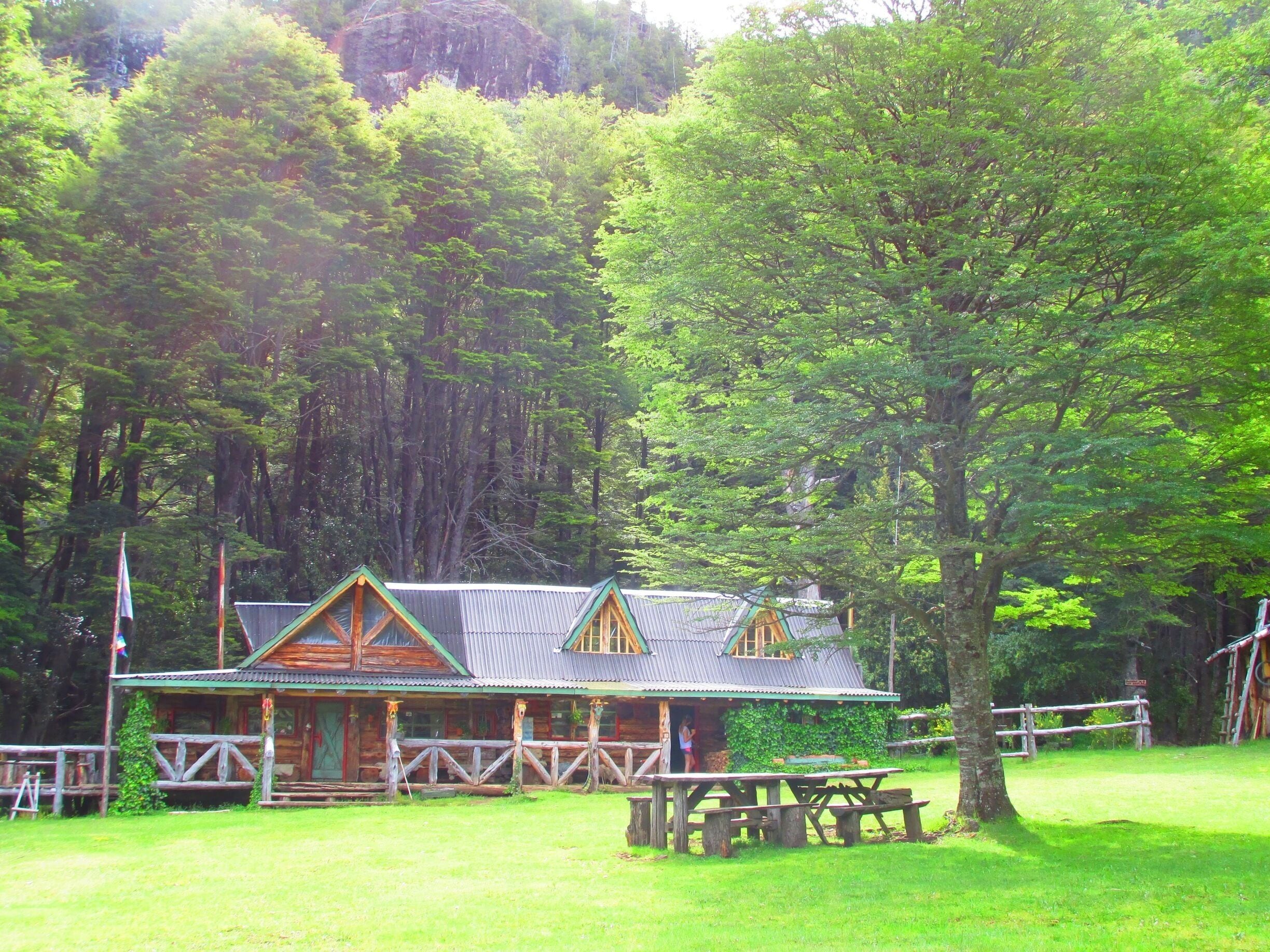 A rustic cabin with a metal roof surrounded by lush greenery and trees.