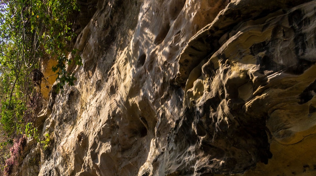 Salitrous wall located in Parque das Monçoes, in the city of Porto Feliz, Sao Paulo, Brazil. Natural monument formed by rock, limestone and sandstone.