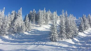 backcountry #skiing - #touring with almost noone else on around me, sunshine, #blue sky, the snow twinkling at you. #freedom