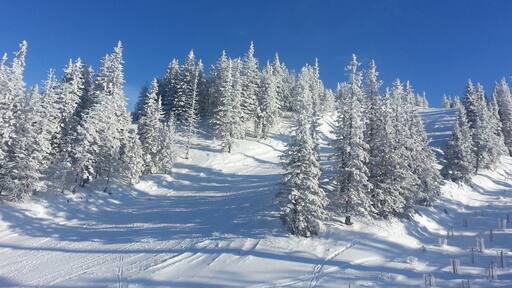backcountry #skiing - #touring with almost noone else on around me, sunshine, #blue sky, the snow twinkling at you. #freedom
