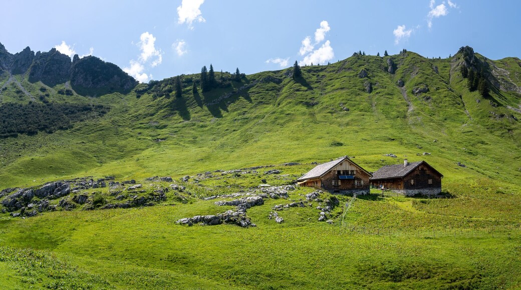 Österreich Großes Walsertal im Sommer