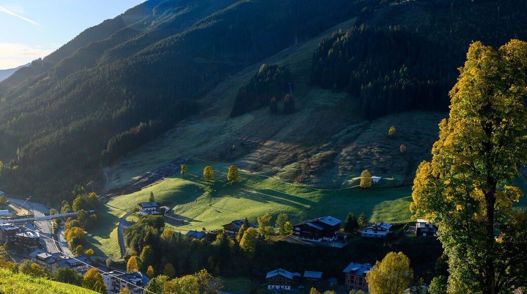Panorama Saalbach-Hinterglemm