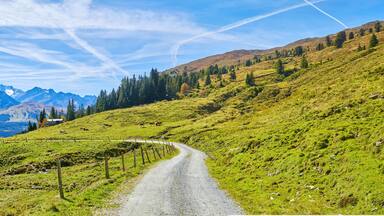A winding mountain road through a lush green valley with a backdrop of snow-capped peaks and dense forests.