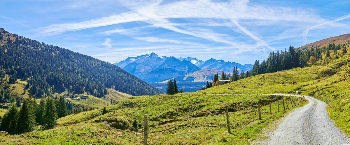 A winding mountain road through a lush green valley with a backdrop of snow-capped peaks and dense forests.
