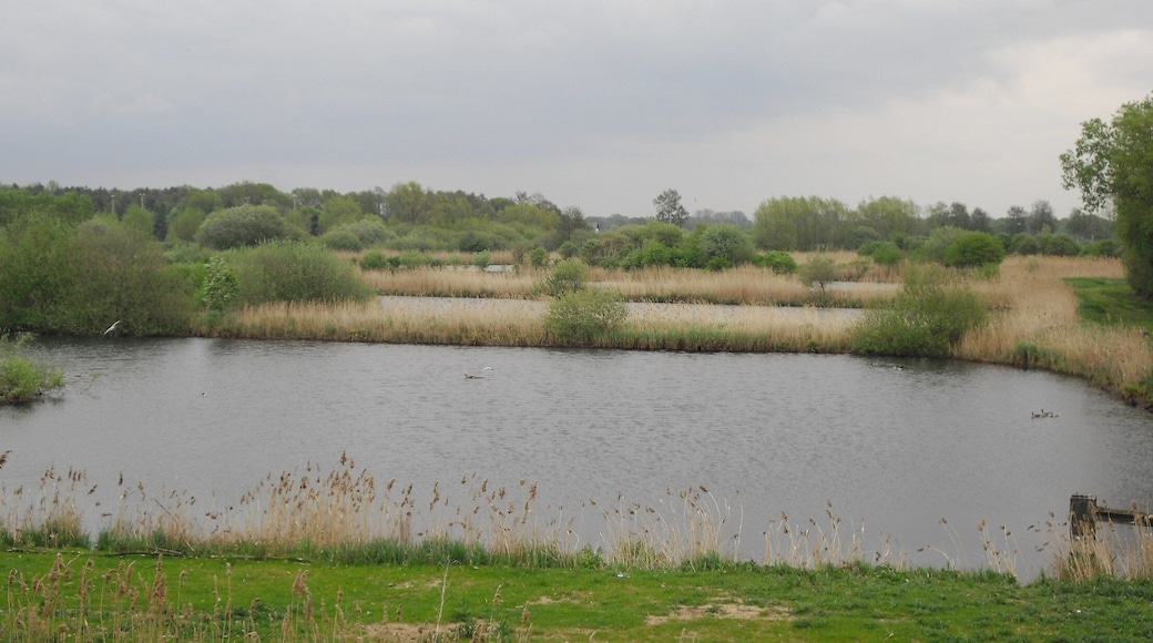 Rietberger Fischteiche