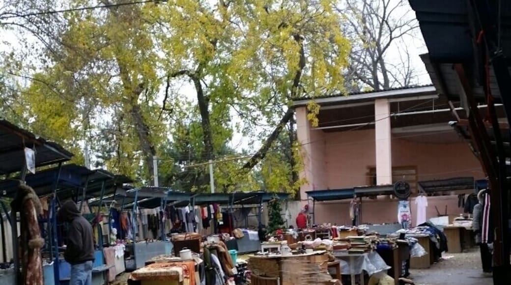 One of the few places left where you can still get authentic souvenirs from the Soviet times. For them it is clutter, for us it is history. Expect old money, fur hats, old medical equipment soviet kitsch and all reasonably priced. Remember foreign cards aren't accepted here!
#troveon
#soviet
#oldmoney
#market