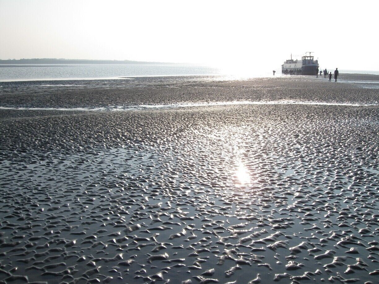 A pebble beach with a boat and people in the distance.