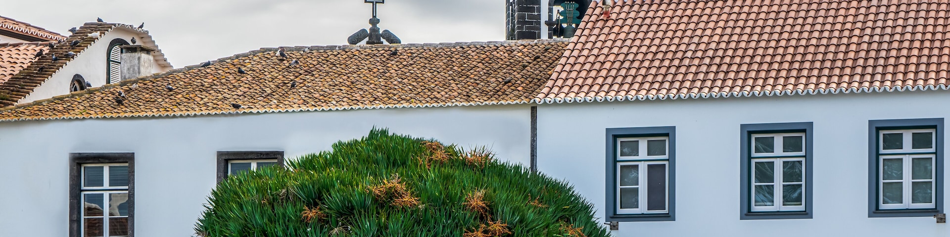Un edificio con tejado de tejas, una aguja de iglesia y un árbol de follaje verde.