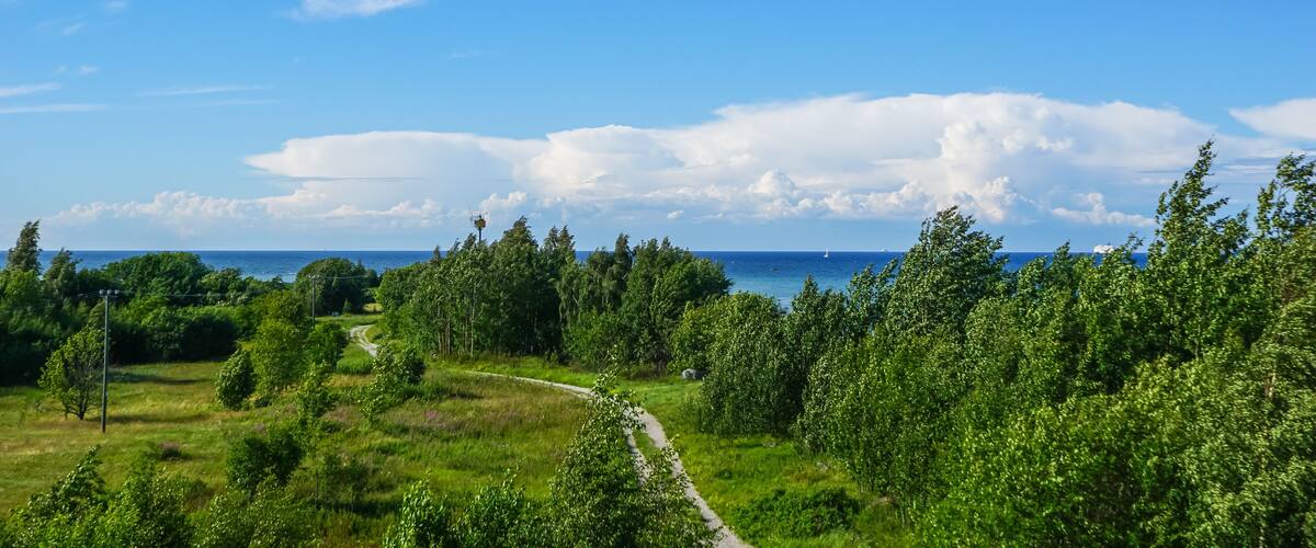 Estonia summer landscape,district paljassaare