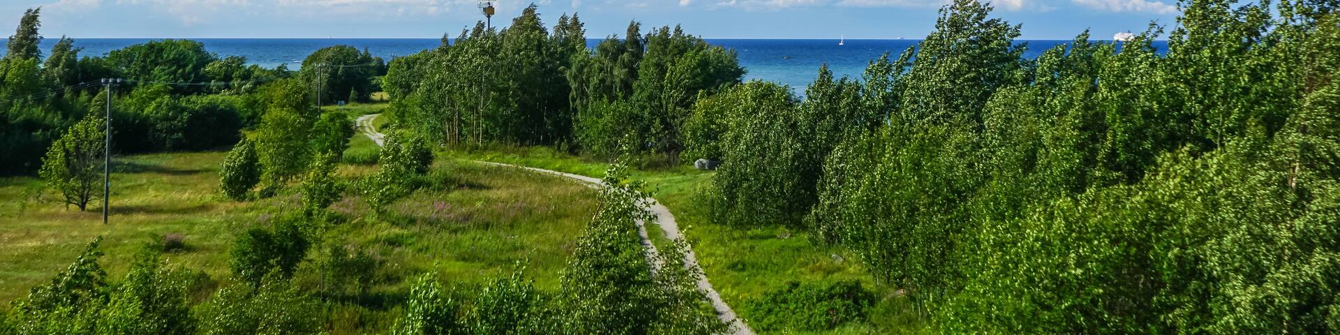 Estonia summer landscape,district paljassaare