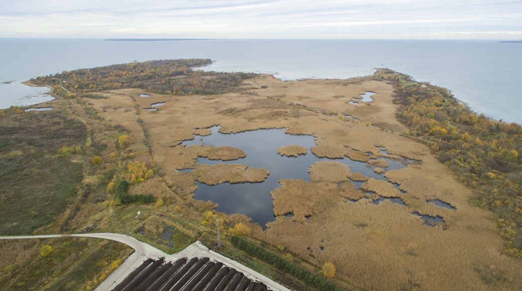 ํผ์นผ๋ฆฌ๋ฐ